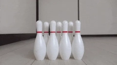 Какви играчки могат да бъдат направени за коте?